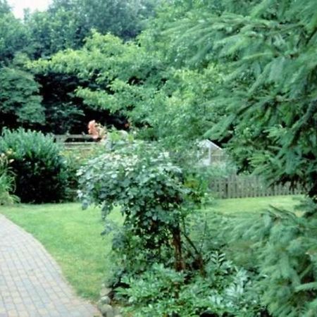 Haus Gori Daire Haffkrug Dış mekan fotoğraf